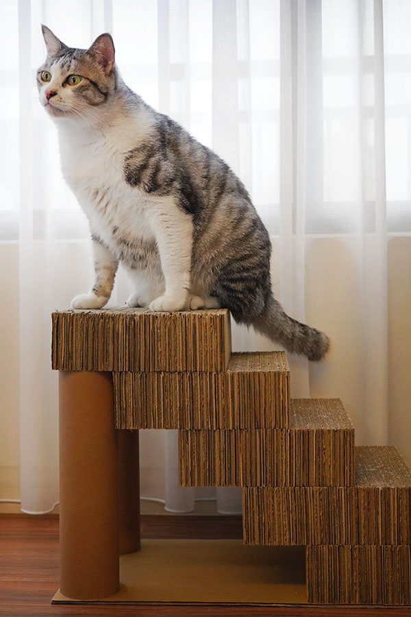 貓咪寵物樓梯、舒壓貓抓瓦楞台階～牙牙的觀景台新歡！