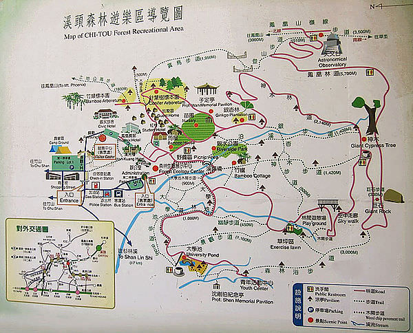 溪頭森林遊樂區,幽靜的森林浴之旅 - 第2張圖